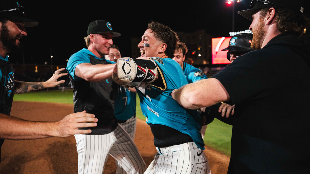 Korey Lee's two-run single in the bottom of the tenth provided the Knights with a 7-6 walkoff win over the Tides.