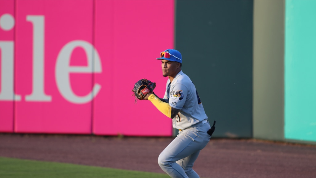 Alfonsin Rosario homered as part of two-hit, four RBI night in Akron's loss to Chesapeake.