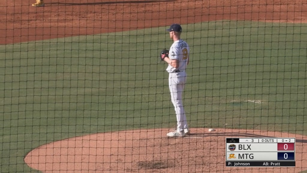 Ty Johnson Stats, Age, Position, Height, Weight, Fantasy & News | MiLB.com