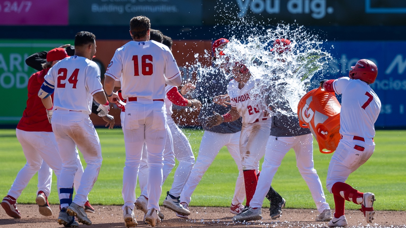 Scannell Plays Hero In Walk-Off Win