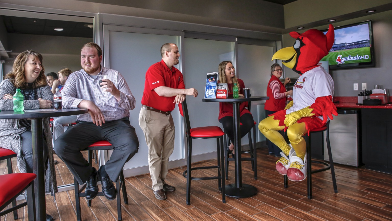 Luxury Suites Cardinals