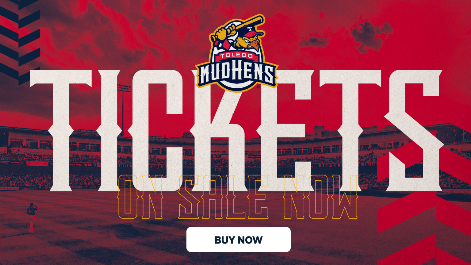 Toledo Mud Hens 