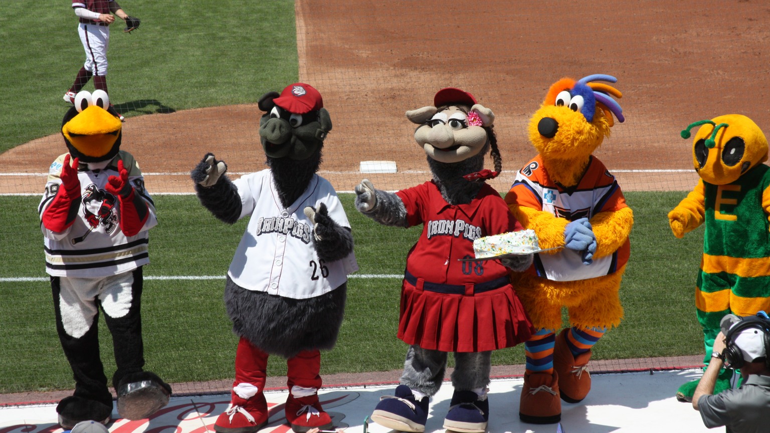 IronPigs Mascot Appearances | IronPigs