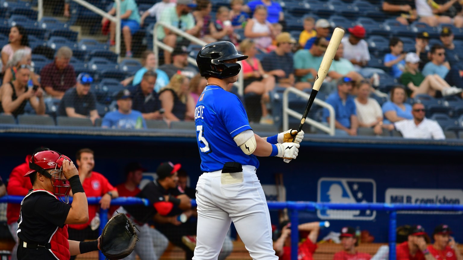 Biloxi Shuckers | MiLB.com