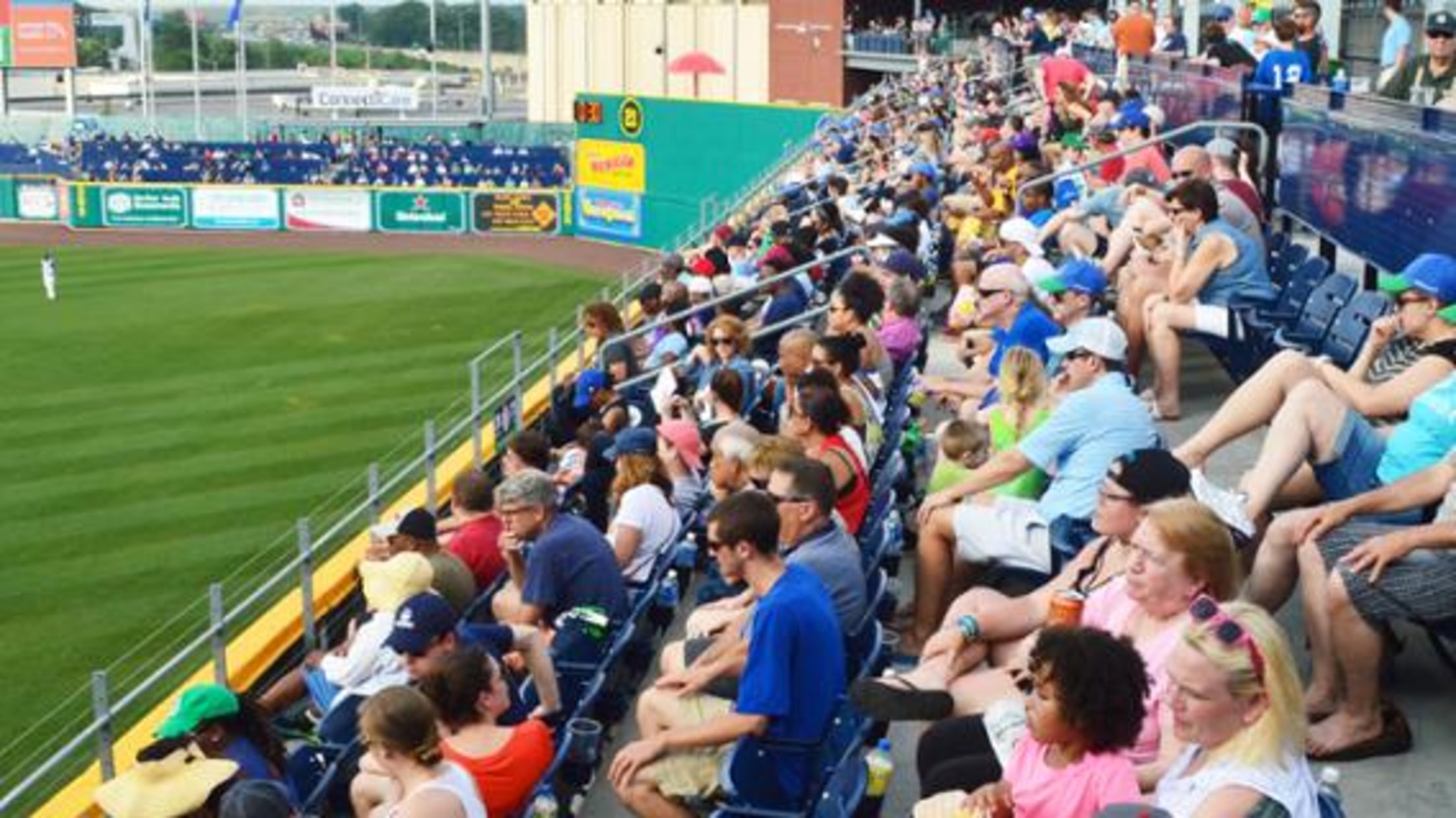 yardgoats Yard Goats