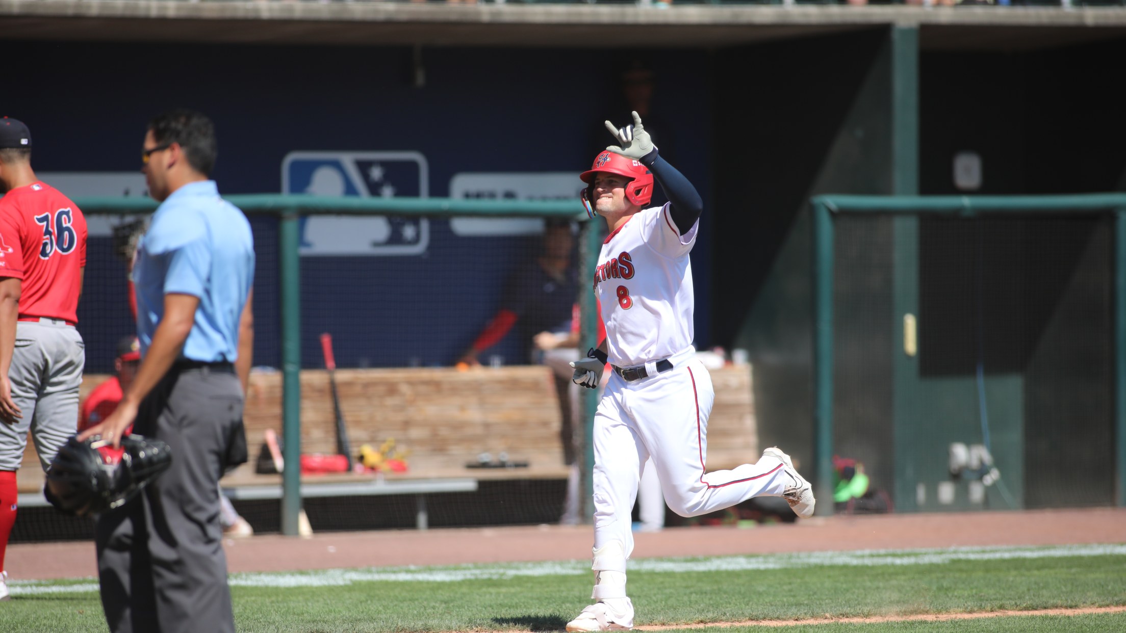 Harrisburg Senators News | Senators
