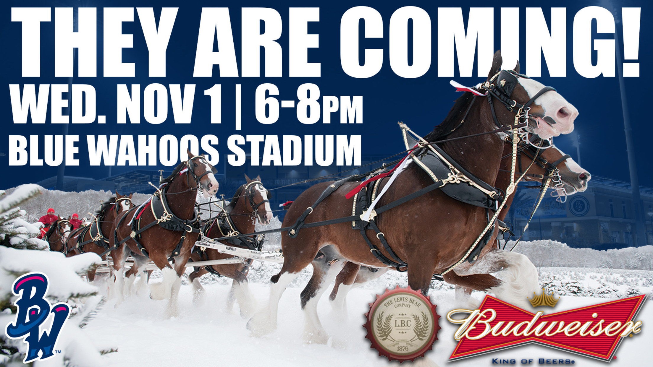 Here Comes The King World Famous Budweiser Clydesdales Are Coming To Pensacola 