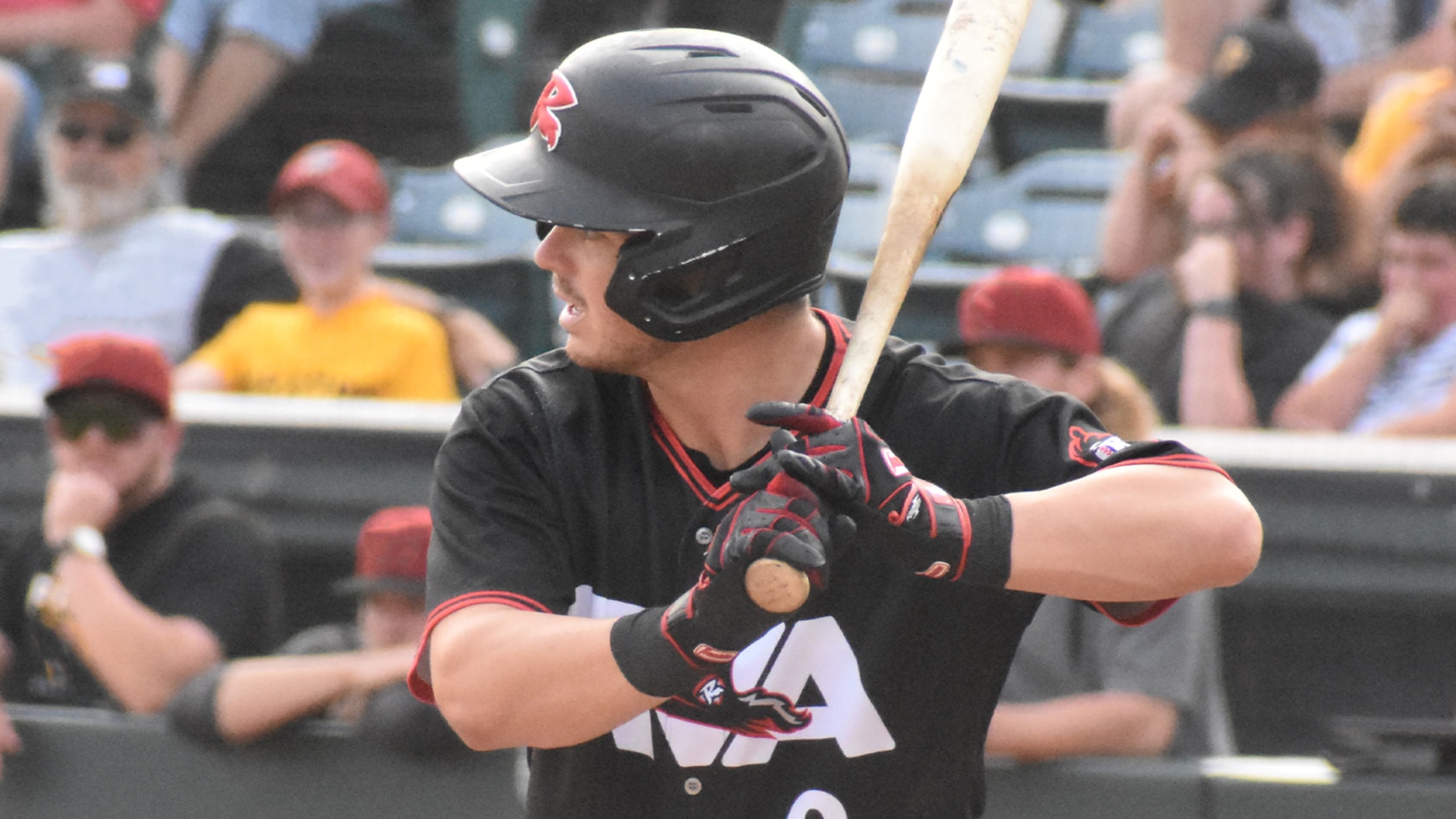 Four straight Sea Dogs runs down Squirrels in 4-2 loss | MiLB.com