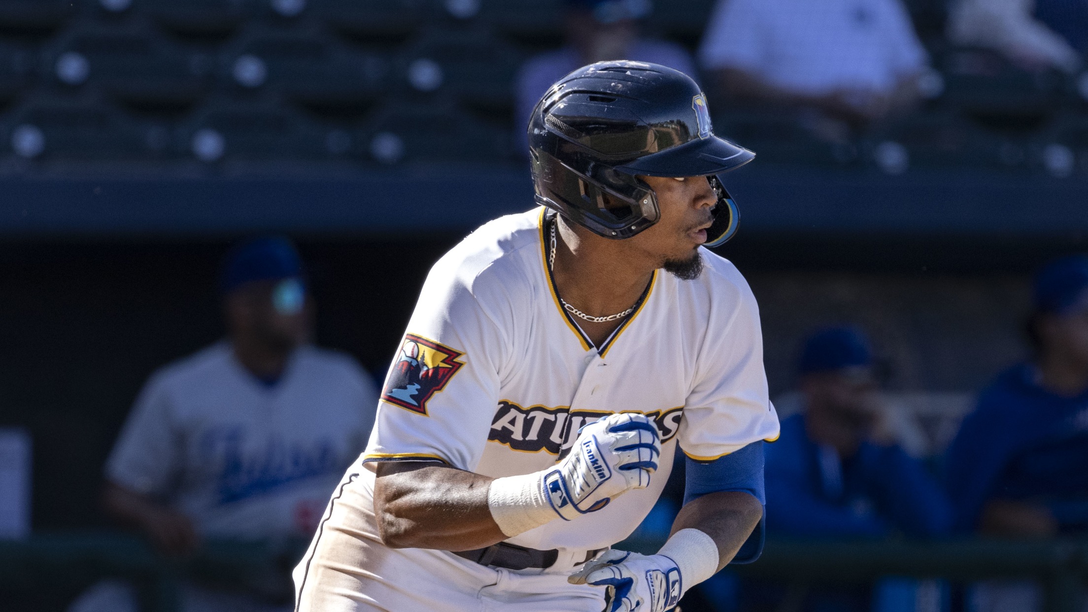 Late Rally Falls Short in 8-7 Loss Saturday | MiLB.com