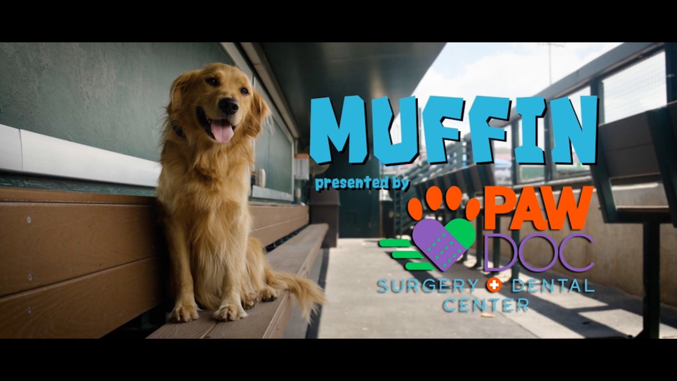 Muffin the Bat Dog