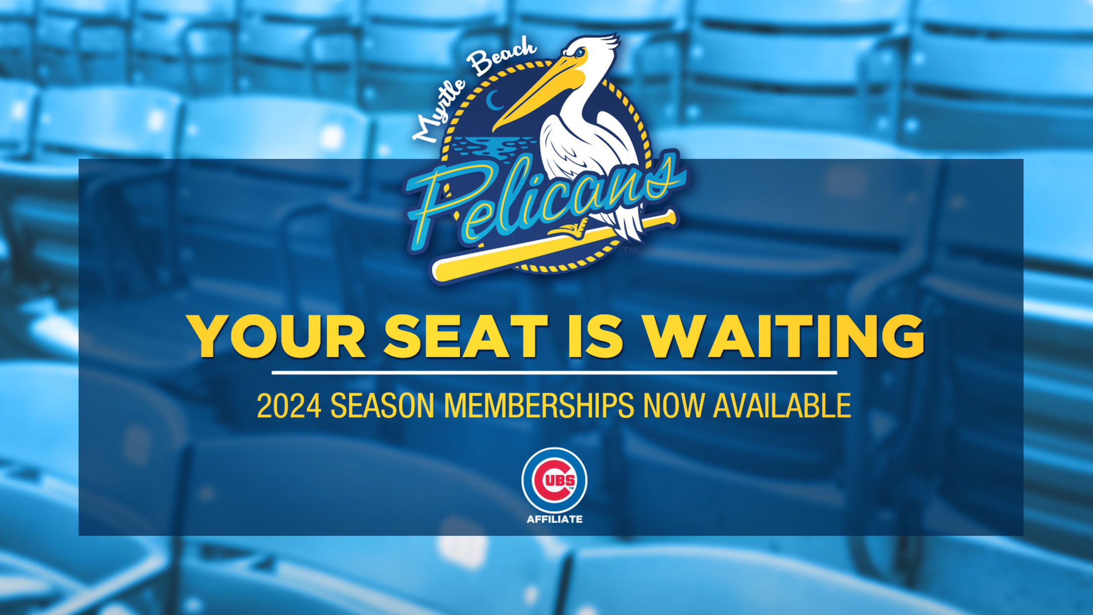 Myrtle Beach Pelicans | MiLB.com