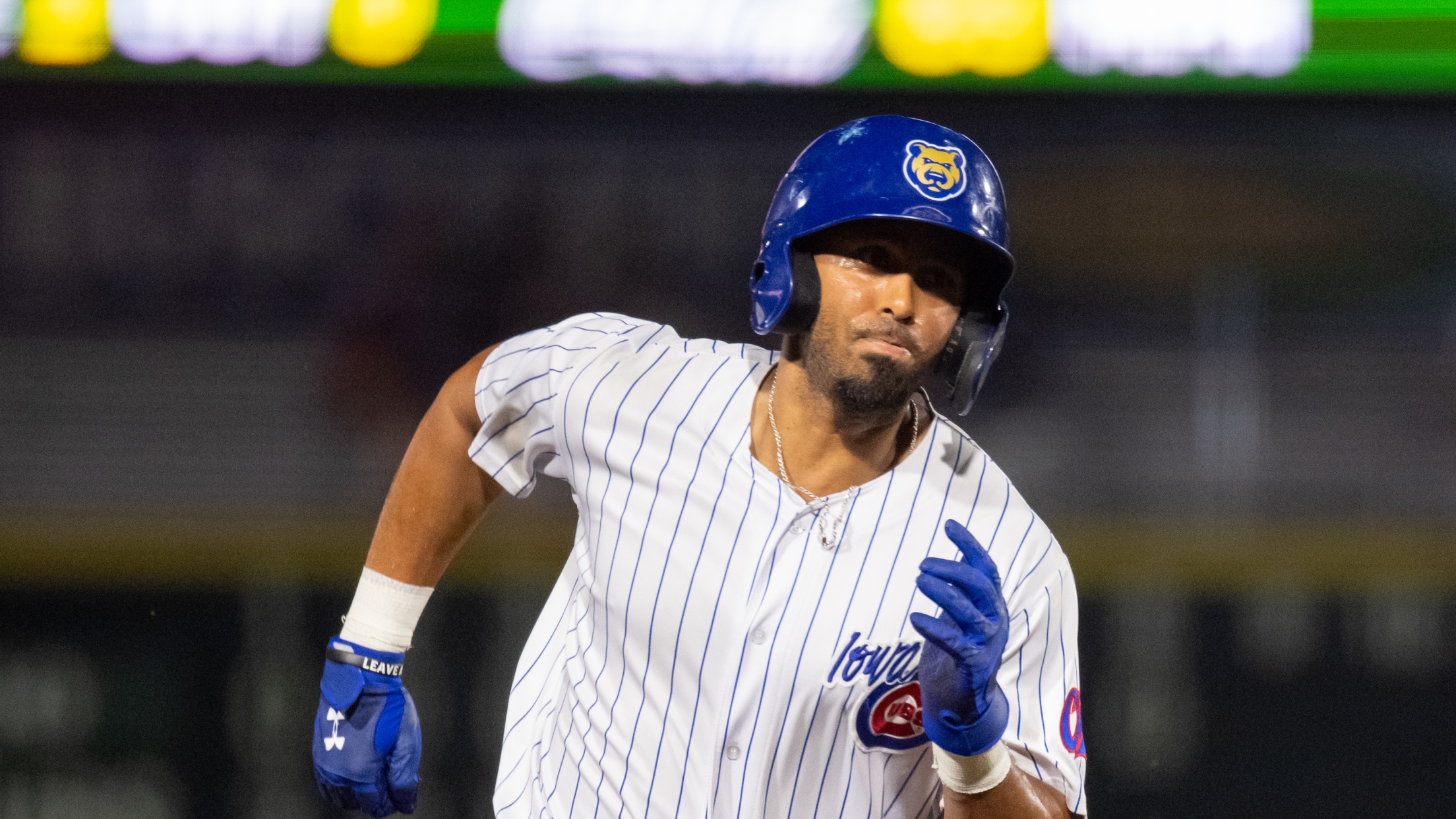 Iowa Cubs News | Cubs