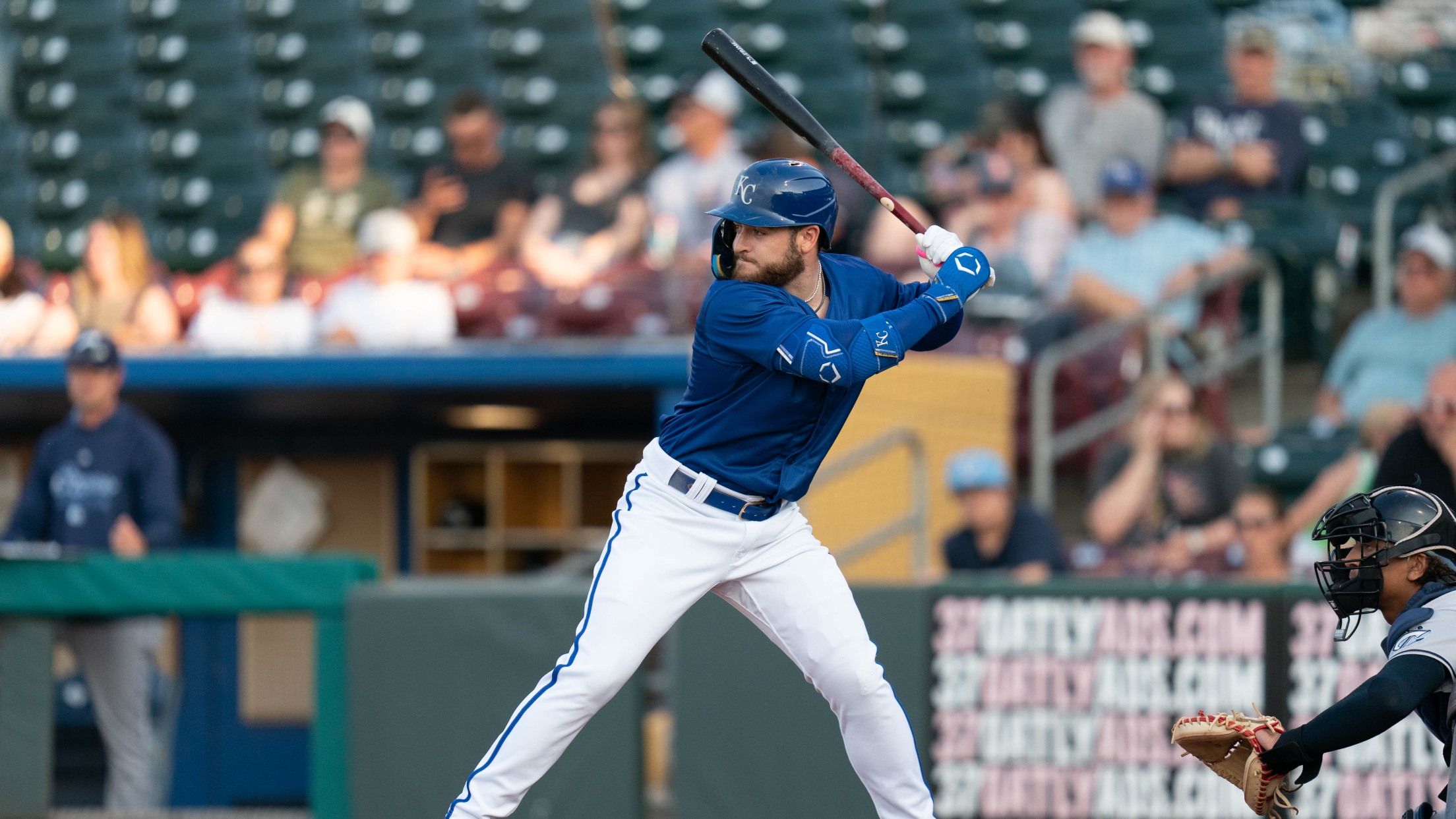 Chasers Pick up Ninth Straight Win Behind Efforts of Veneziano and ...