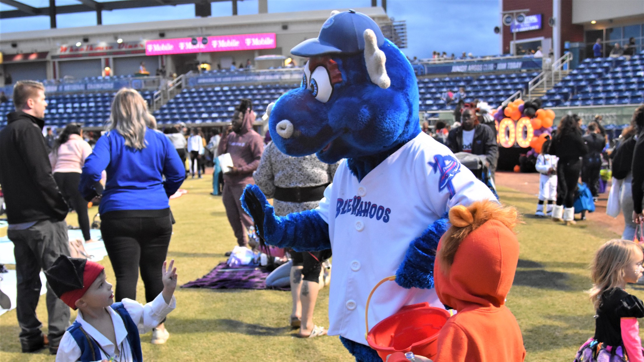 Blue Wahoos Octoberfest MiLB