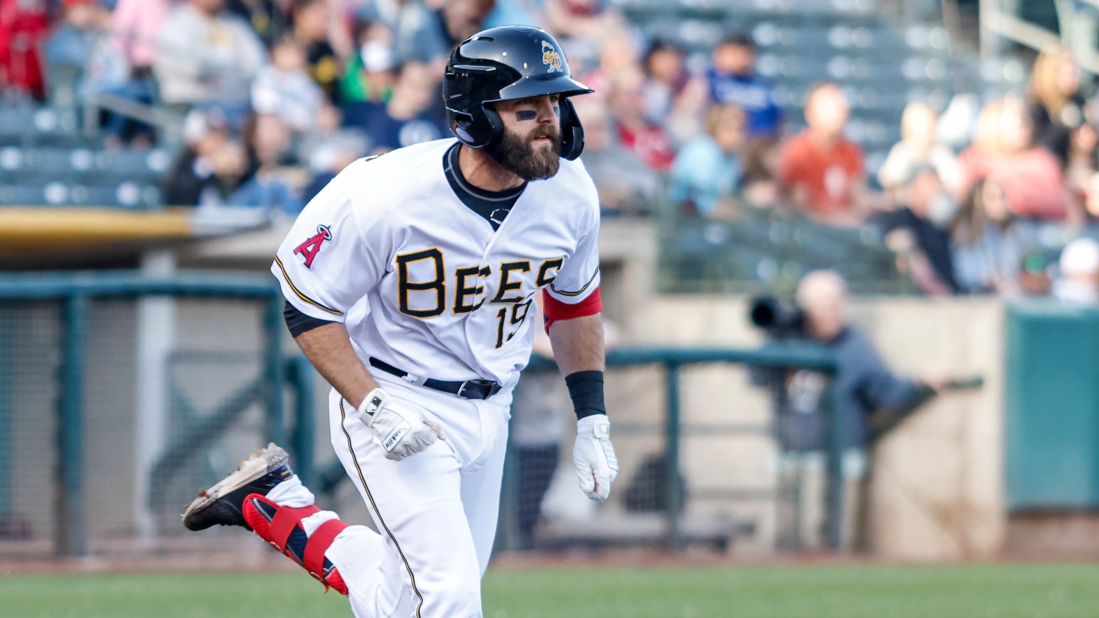Bees rout Isotopes 15-2 | MiLB.com