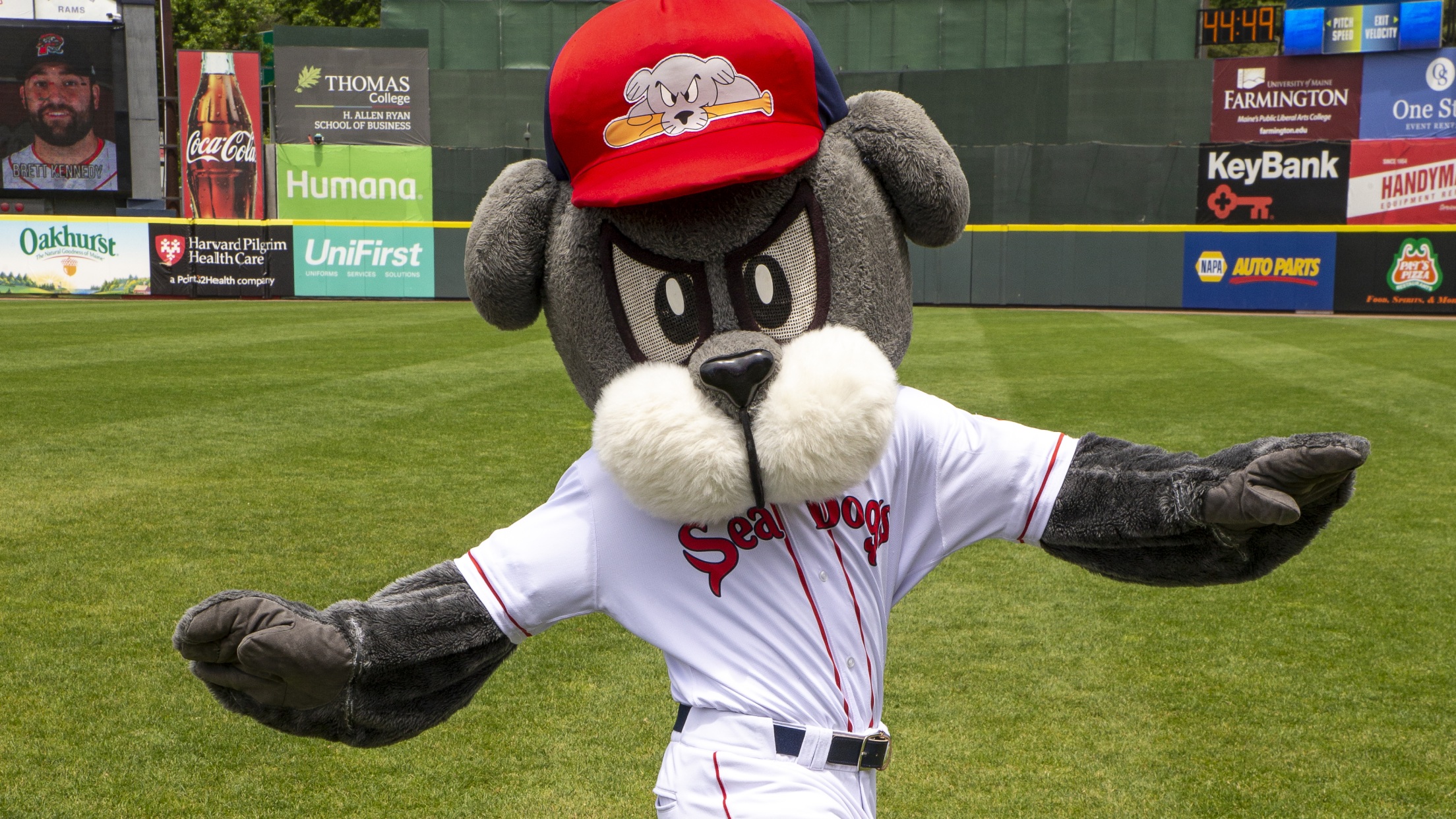 Slugger the Sea Dog Wins Two Mascot Hall of Fame Awards | Sea Dogs