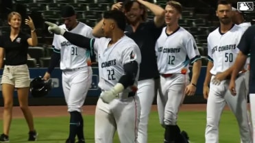 Miguel Palma's walk-off homer