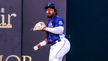 Top Of The Order Powers Sugar Land To 9-5 Win