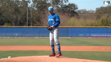 Meet Blue Jays pitcher Dayne Pengelly