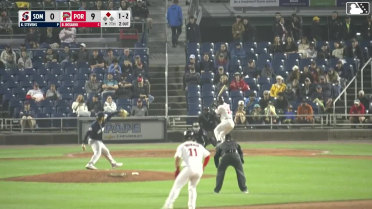 Ronald Rosario homers (9) on a fly ball to left center field. Brooks Brannon scores.