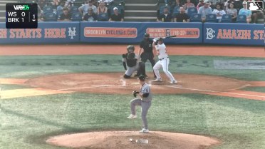 Daiverson Gutierrez homers (7) on a fly ball to left field. Randy Guzman scores. Yonatan Henriquez scores.