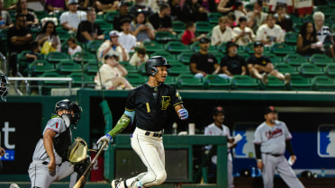 Brito's Walk-Off Lifts Grizzlies in Series Opener