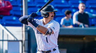 Three Yankees Prospects Join Somerset, Including Red-Hot OF Aaron Palensky