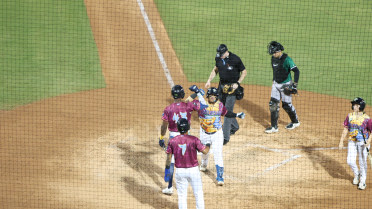 Silva’s Two Homer Night Propels the Fireflies to Victory 