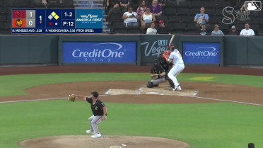 Joey Meneses doubles (23) on a ground ball to left fielder Bo Davidson. Drew Swift scores. Michael Stefanic to 3rd.
