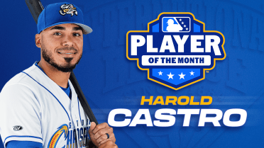 Harold Castro Named International League Player of the Month