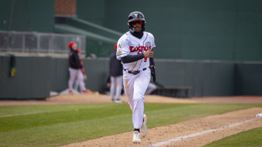 Elliott homers but Lugnuts fall, 6-3