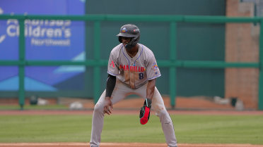 Double Trouble Powers Naturals Past Sod Poodles