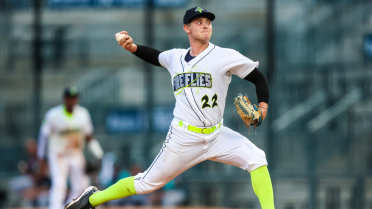 Fireflies Shutout By RiverDogs on Grateful Dead Night