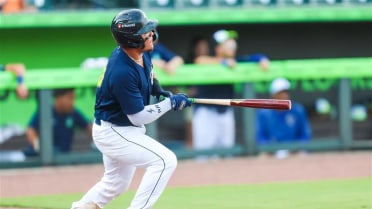 Fireflies Fall in Final Game 8-2 