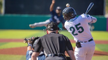 Rodriguez, Collier's Extra-Base Knocks Not Enough as Tortugas Fall 8-5