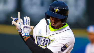 Four-Run Eighth Propels Fireflies to Victory