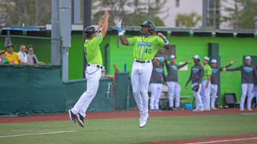 Tortugas Ride Four Homers to 17-10 Triumph