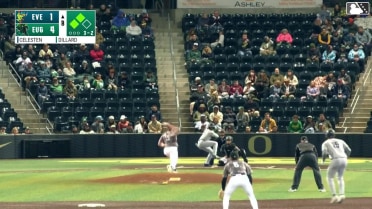 Sac Fly for  Felnin Celesten.