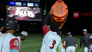 Ashly Andujar Calls Game, Grizzlies Walk-Off Series Opener after Austin Newton's Stellar Start