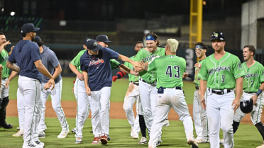 Anderson Delivers Pinch-Hit Heroics to Walk-Off Columbus 2-1