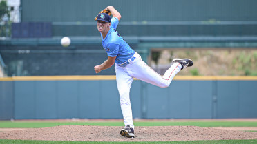 Walk Off Stings Bats In 5-4 Loss