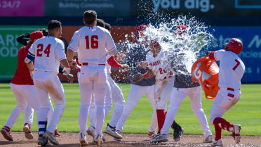 Scannell Plays Hero In Walk-Off Win