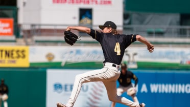 Bullpen and newcomers shine in Grizzlies 5-3 dub over Nuts