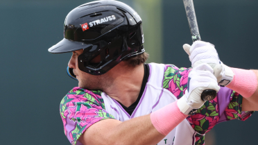 Five Homers Lead Augusta to Victory in Rain Delayed Opener