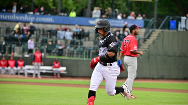 Two Homers Provide the Offense in Shutout Victory for Loons