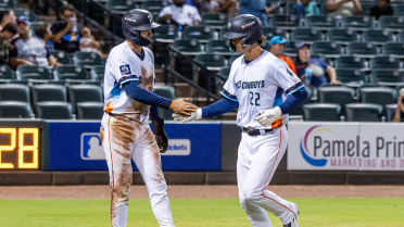 Alexander Returns With Go-Ahead Blast To Send Sugar Land To 8-2 Victory