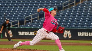 Stellar Pitching Shuts Out Blue Jays in Beach Dogs Win
