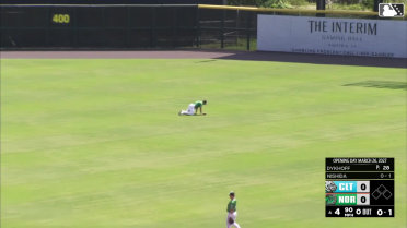 Jud Fabian's diving catch