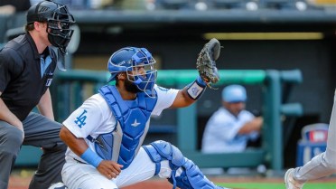 Comets Limited to Two Runs as Bees Win Series Opener