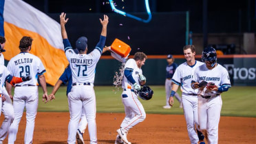 Sacco Jr.'s Walk-Off Single Leads Sugar Land to Extra-Innings Victory